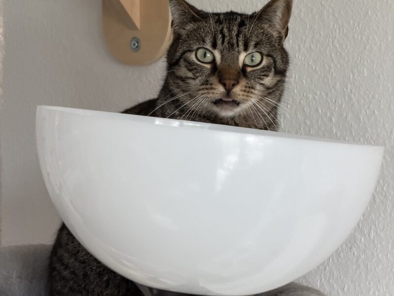 Die Lampe ist schief